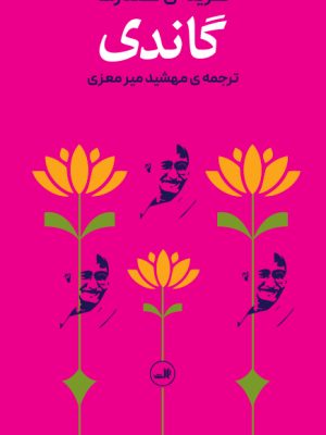 خرید کتاب گزینه گفتارهای گاندی ترجمه مهشید میرمعزی نشر ثالث