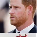 خرید کتاب اضافی اثر شاهزاده هری نشر مهراندیش