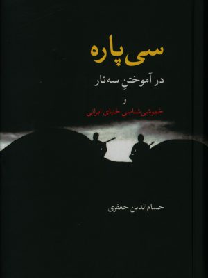 خرید کتاب سی پاره در آموختن سه تار و خموشی شناسی خنیای ایرانی نشر معین