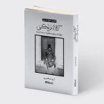 خرید کتاب گنجینه هایی از هنر ایرانی (کلاه فرنگی) اثر آرزو اسکندری نشر میردشتی