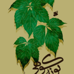 خرید کتاب پونه کوهی اثر محمد حسین فاضل نشر بین الملل