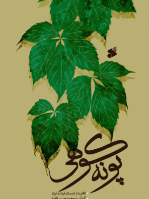خرید کتاب پونه کوهی اثر محمد حسین فاضل نشر بین الملل