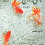 خرید کتاب رمان ماهی زلال پرست اثر آزیتا خیری نشر علی