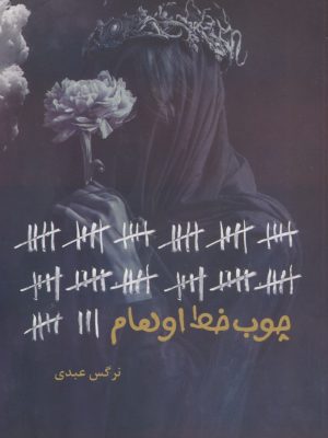 خرید کتاب رمان چوب خط اوهام اثر نرگس عبدی نشر شقایق