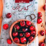 خرید کتاب رمان گیلان ترش اثر الناز دادخواه نشر صدای معاصر
