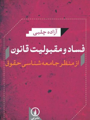 خرید کتاب فساد و مقبولیت قانون اثر آزاده چلبی نشر نی