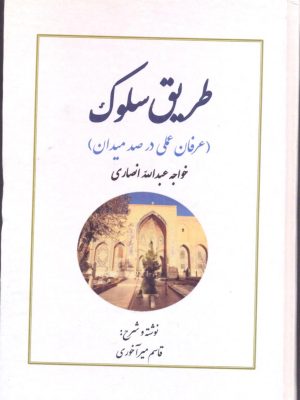 خرید کتاب طریق سلوک (عرفان عملی در صد میدان) نوشته قاسم میرآخوری