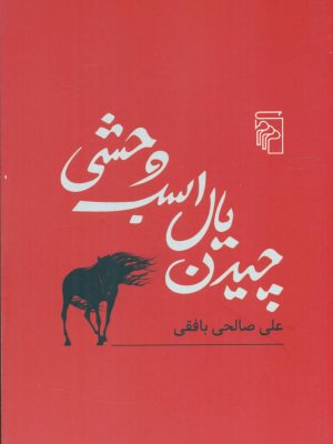 خرید کتاب چیدن یال اسب وحشی اثر علی صالحی بافقی نشر مرکز
