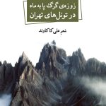 خرید کتاب زوزه گرگ پا به ماه در تونل های تهران اثر علی کاکاوند نشر نگاه