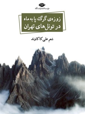 خرید کتاب زوزه گرگ پا به ماه در تونل های تهران اثر علی کاکاوند نشر نگاه