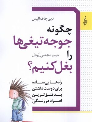 خرید کتاب چگونه جوجه تیغی را بغل کنیم اثر دبی جاف الیس نشر ترانه