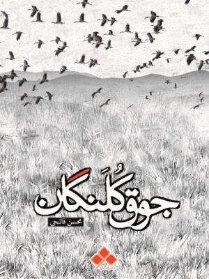 خرید کتاب جوق کلنگان اثر محسن فاتحی نشر آماره