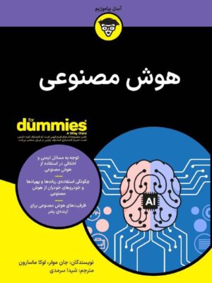 خرید کتاب دامیز هوش مصنوعی اثر جان مولر و لوکا ماسارون نشر آوند دانش
