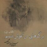 خرید کتاب برگ هایی در آغوش نسیم (3 جلدی) اثر منوچهر احتشامی نشر کارنامک