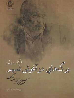 خرید کتاب برگ هایی در آغوش نسیم (3 جلدی) اثر منوچهر احتشامی نشر کارنامک