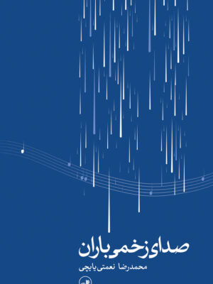 خرید کتاب صدای زخمی باران اثر محمدرضا نعمتی یایچی نشر ثالث