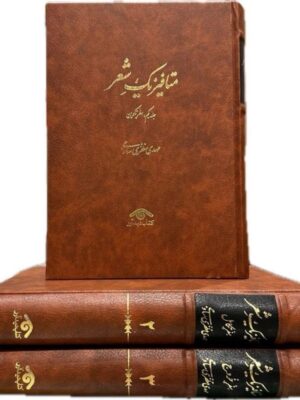 خرید کتاب متافیزیک شعر (دوره 3 سه جلدی) اثر مهدی مظفری نشر دیدآور