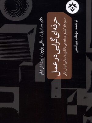 خرید کتاب حرفه ای گرایی در عمل ترجمه مهتاب پورآتشی نشر مطالعات فرهنگی