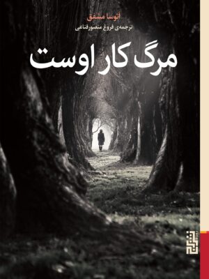 خرید کتاب مرگ کار اوست اثر آتوسا مشفقی نشر برج