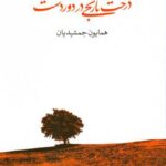 خرید کتاب درخت نارنجی در دوردست اثر همایون جمشیدیان نشر ماهریس