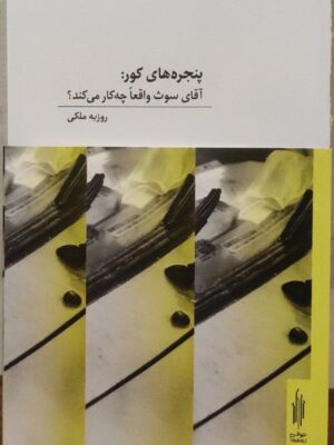 خرید کتاب پنجره های کور (آقای سوث واقعا چه کار می کند) اثر روزبه ملکی