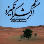 خرید کتاب اگر غم لشگر انگیزد اثر سید مهدی شجاعی نشر نیستان