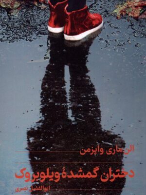 خرید کتاب دختران گمشده ویلوبروک اثر الن ماری وایزمن نشر تندیس