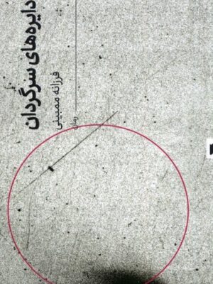 خرید کتاب دایره های سرگردان اثر فرزانه ممبینی نشر قو