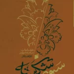 خرید کتاب سبوی شکسته اثر کاظم بازافکن نشر بین الملل