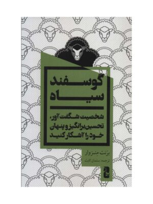 خرید کتاب گوسفند سیاه اثر برنت منزوار نشر یوبان