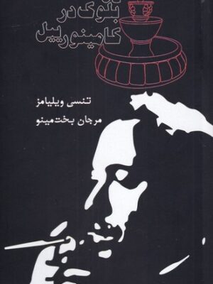 خرید کتاب ده بلوک در کامینورییل اثر تنسی ویلیامز نشر مینو