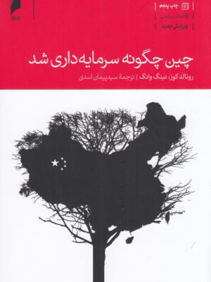 خرید کتاب چین چگونه سرمایه داری شد اثر رونالد کوز و نینگ وانگ نشر دنیای اقتصاد