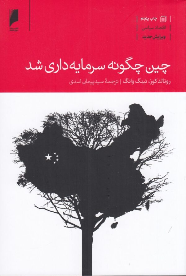 خرید کتاب چین چگونه سرمایه داری شد اثر رونالد کوز و نینگ وانگ نشر دنیای اقتصاد