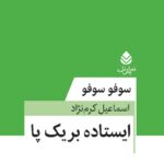 خرید کتاب ایستاده بر یک پا اثر سوفو سوفو نشر قطره