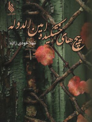 خرید کتاب رمان پیچ های خشکیده امین الدوله اثر شهلا خودی زاده نشر علی