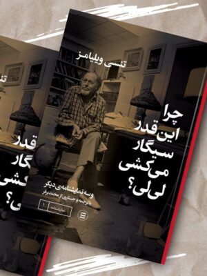 خرید کتاب چرا این قدر سیگار می کشی لی لی اثر تنسی ویلیامز نشر شهید ثالث