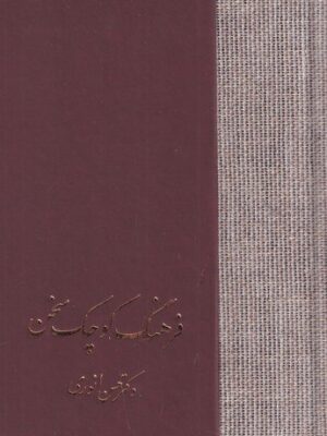 خرید کتاب فرهنگ کوچک سخن اثر دکتر حسن انوری