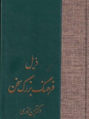خرید کتاب ذیل فرهنگ بزرگ سخن اثر دکتر حسن انوری نشر سخن