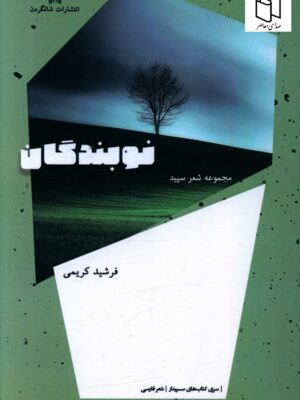 خرید کتاب نوبندگان اثر فرشید کریمی نشر شالگردن