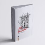 خرید کتاب انگار آنجا نیستم اثر اسلاونکا دراکولیچ نشر کتاب سده