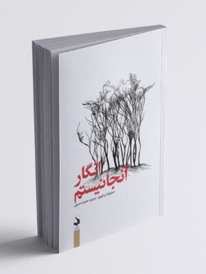 خرید کتاب انگار آنجا نیستم اثر اسلاونکا دراکولیچ نشر کتاب سده