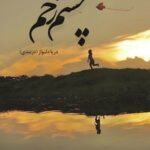 خرید کتاب چشم زخم اثر دریا دلنواز نشر شقایق