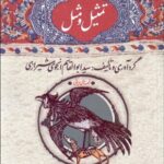 خرید کتاب تمثیل و مثل اثر ابوالقاسم انجوی شیرازی نشر امیرکبیر