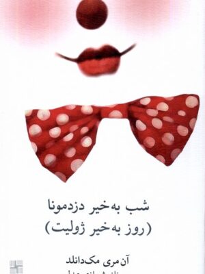 خرید کتاب شب بخیر دزد مونا اثر آن مری مک دانلد نشر نیلا