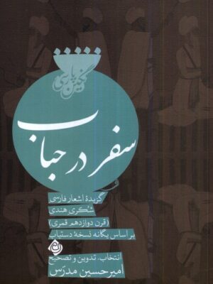 خرید کتاب سفر در حباب اثر امیرحسین مدرس نشر نیستان