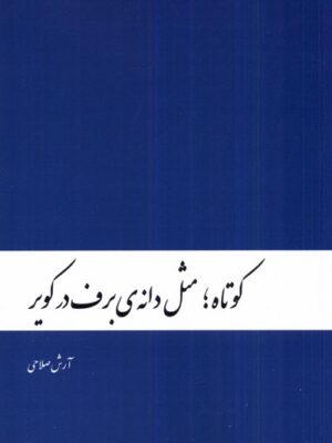 خرید کتاب کوتاه مثل دانه برف در کویر اثر آرش صلاحی نشر دنیای نو