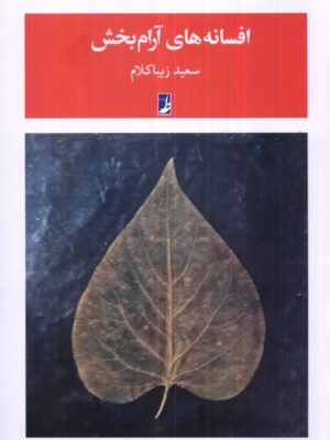 خرید کتاب افسانه های آرام بخش اثر سعید زیباکلام نشر طه