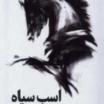 خرید کتاب اسب سیاه اثر تاد رز واگی اگاس نشر میلکان