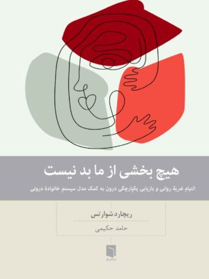 خرید کتاب هیچ بخشی از ما بد نیست اثر ریچارد شوارتس نشر بینش نو