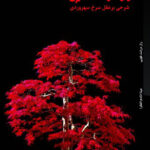 خرید کتاب راز درخت طوبی (شرحی بر عقل سرخ سهروردی) اثر مینا خادم الفقرا
